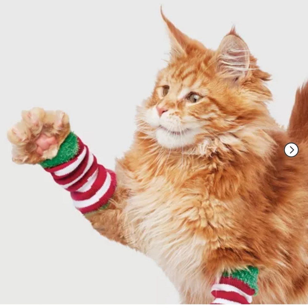 - Gingerbread Playhouse Cat Leggings - Wondershop™